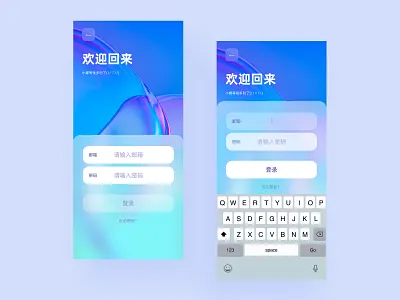 APP Login ui