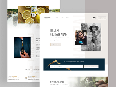 CBD Website design ui ux web website