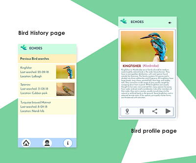 Echoes- Bird app app branding buttons design illustration interactive interface navigation ui ui ux ux