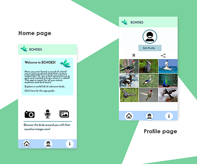 Echoes bird app app buttons design icon illustration interactive interface navigation ui ux web