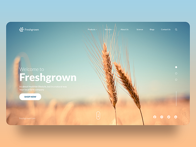 Welcome to Freshgrown! adobe xd branding color concept creative design design dribbble landing page landing page design landscape uidesign uiux web design