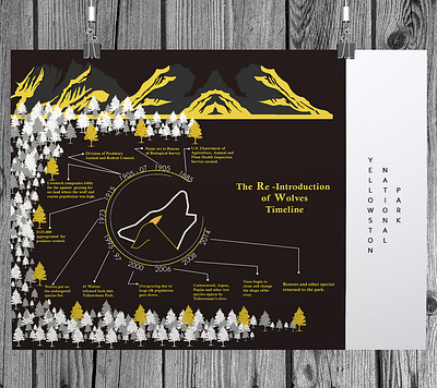 Yellowstone Park Timeline adobe illustrator design graphic design logo logodesign nature nature design poster poster design re introduction timeline timeline design typography wolves