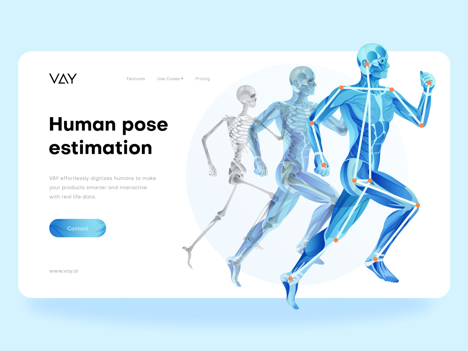 Human Pose Estimation Illustration activity digital art digital illustration elbow estimation human human body human figure human motion human pose estimation human shape illustration keypoints skeleton ui ux vay.ai vector web