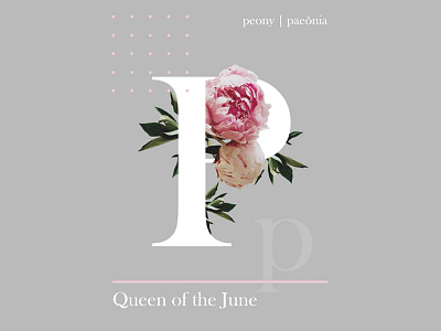 queen of the June design digital art graphic design letters poster typography