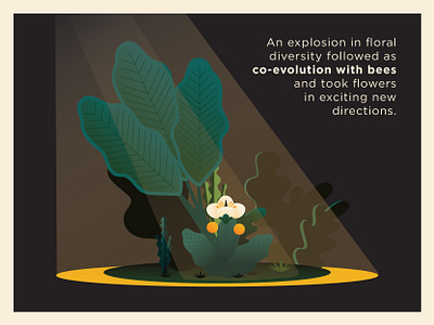 Bee Hotel Infographic bee digitalart diversity evolution exotic explainer floral flower forest illustration illustration art infographic night plants storytelling woods