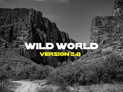 Wild World | Font Design branding design font font design icon logo typeface typography ui ux vector