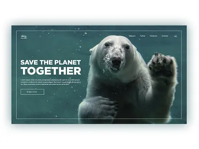 "Clear Waters" design баннер веб дизайн офер сайт