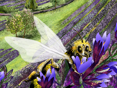 Provencal Bee 🐝 2d animation 2danimation animated animated gif animatedgif animation animation2d bee bonvoyage digital art digital illustration funny character funny illustration illustration kids illustration lavender lavender blooms provence travel illustration vector illustration