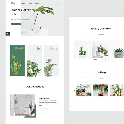 Plant Website Design adobe xd plant uidesign uiux webdesign