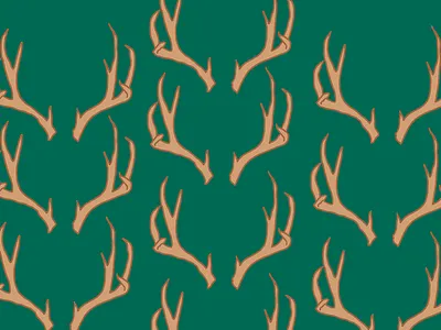 antlers antlers applepencil drawingoftheday elk illustration ipadpro pattern procreate