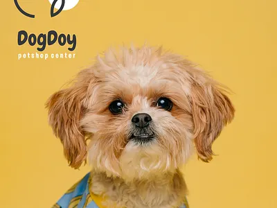 Dog Logo Design animal logo brand branding color design dog dog logo illustration line logo logo pet logo petcare logo prio hans typography vector