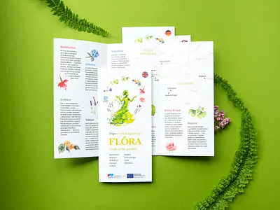 Guide to the Gardens aquarelle castle chateau childrens illustration design floral flower garden green illustration paper print design rose typesetting