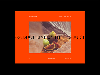 The GC - Fig Juice art direction brand identity communication composition elegant graphic layout modern photography screen visual visual design visual identity