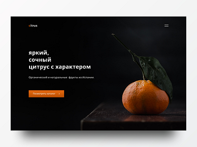 Citrus Store Design landing page store design website design