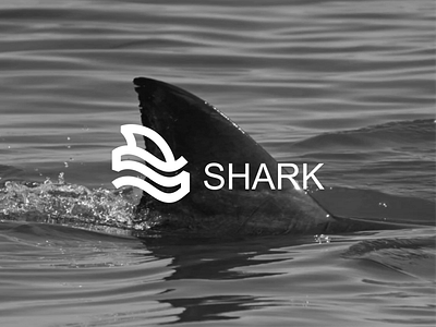 Shark logo concept brand branding design graphic illustration logo typography ui ux vector