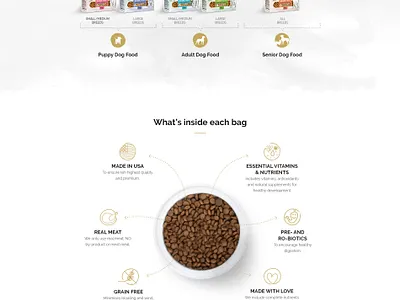 Joseph's Dog animation design flat illustration logo minimal online shopping typography website