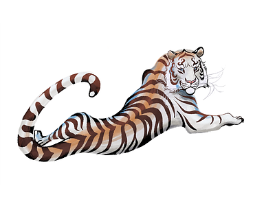 White Tiger animal big cats calendar illustration tiger tiger year tiger year 2022 white tiger wild