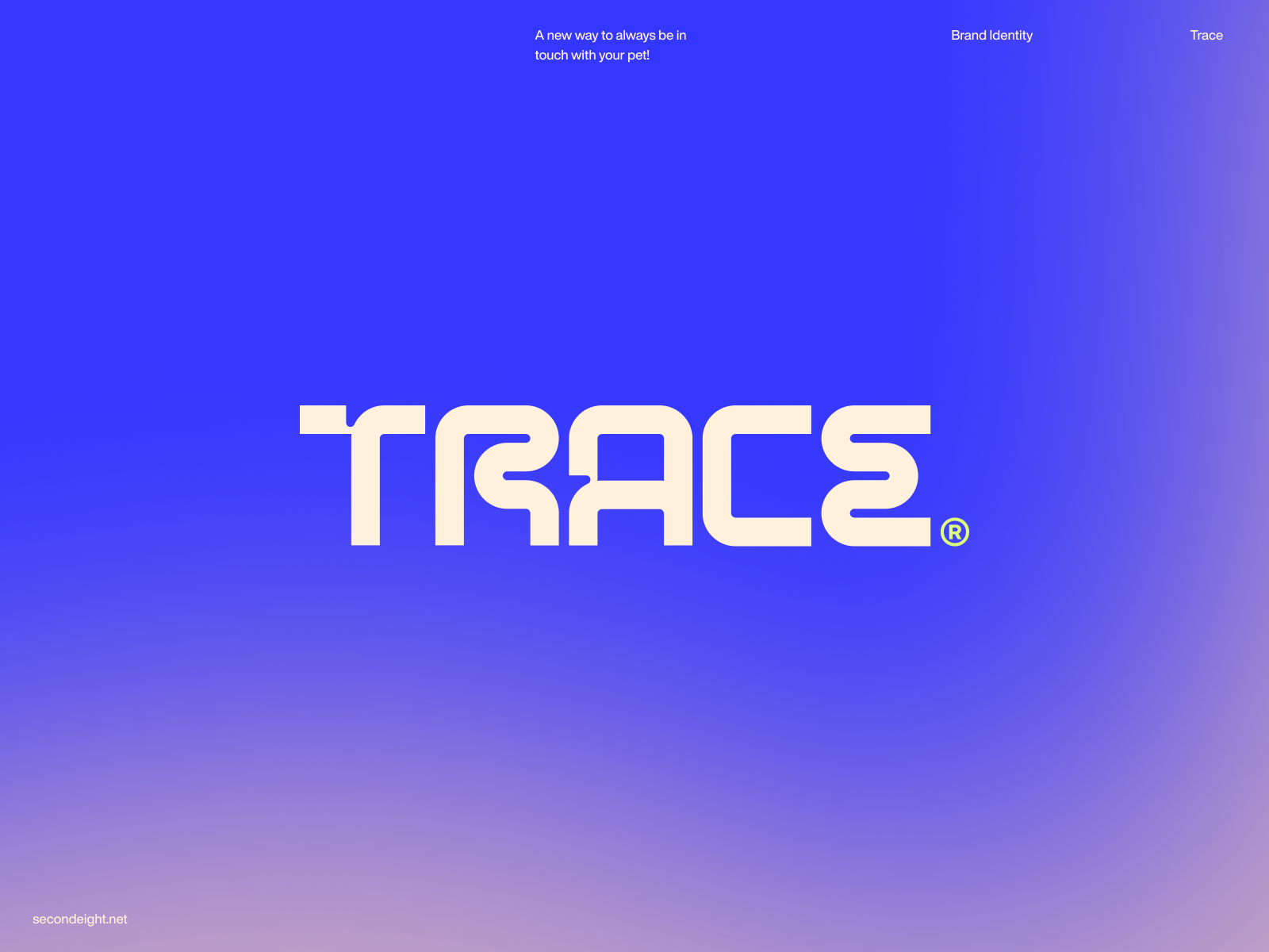 Trace Logo and Branding Design