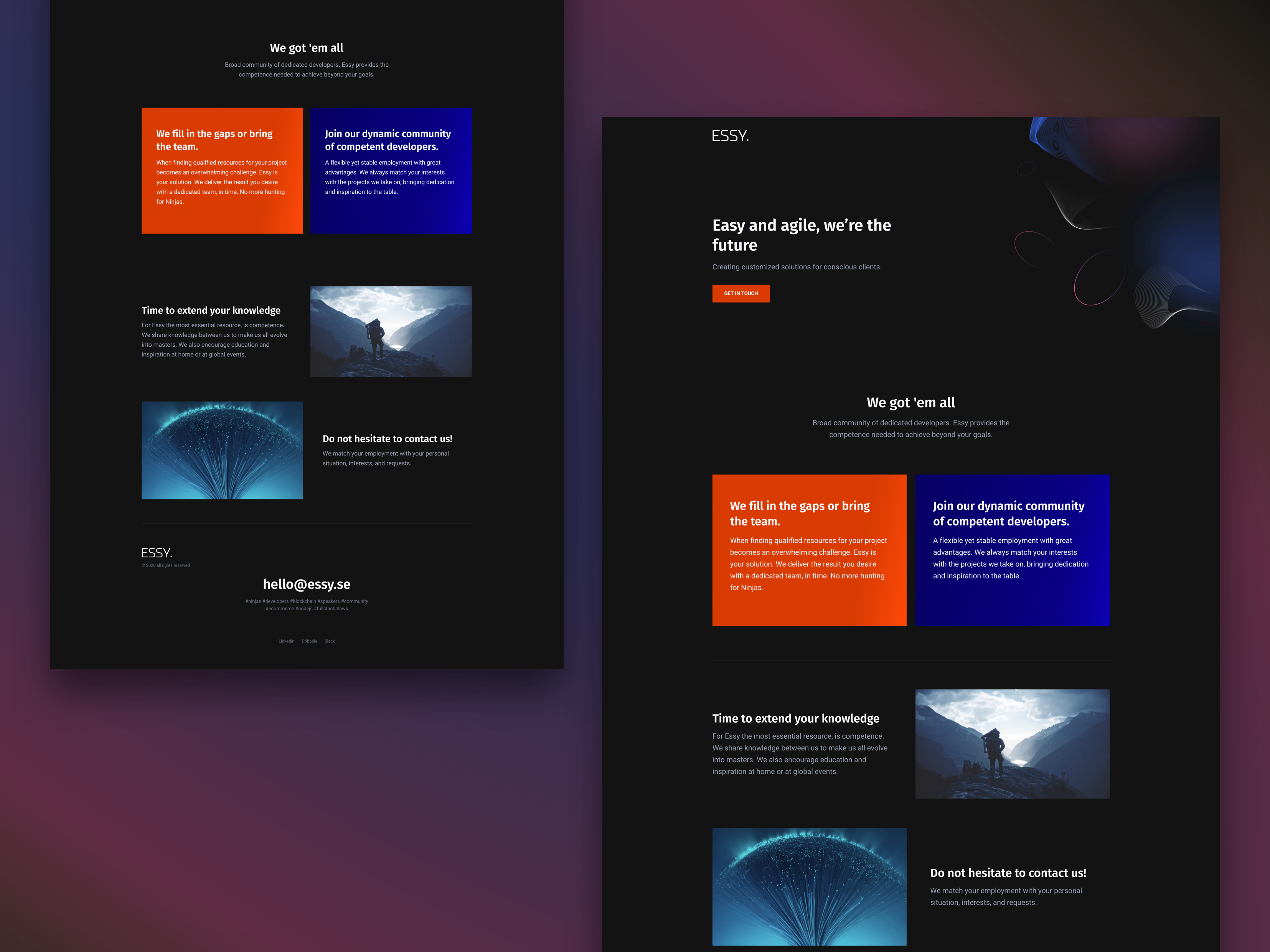 Example of ESSY. - Landing page
