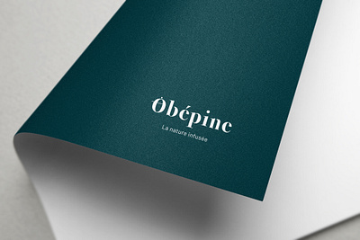 Logo Obépine, la nature infusée branding logo typography