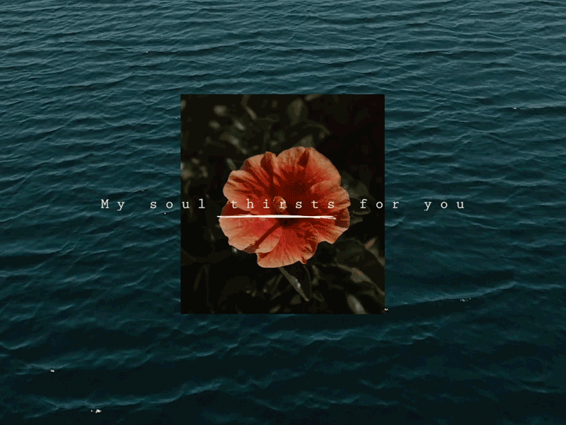 My Soul animation bible drone florida flower jesus psalm scripture socialmedia water
