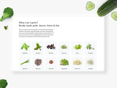 Healthy Food website adobe xd flat design food food app foodwebsite healthfood healthy healthyrecipes madewithxd ui user experience user interface website design