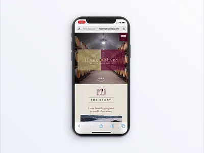 Hale Mary mobile website 2018 branding design iconography typography ui ux web design website