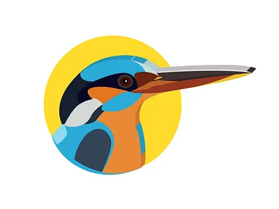 Kingfisher animal art animal illustration artwork bird illustration birds colorful colors design design art designer designs drawing graphic design graphics illustration illustration art nature art nature illustration