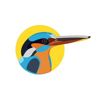 Kingfisher animal art animal illustration artwork bird illustration birds colorful colors design design art designer designs drawing graphic design graphics illustration illustration art nature art nature illustration