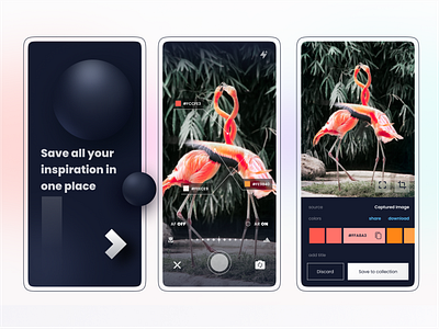 Exploration - save all your inspiration in one place app camera capture color design image inspiration mobile moodboard ui ux