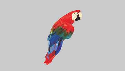 Cockatoo bird bird icon bird illustration bird low polyline bird of paradise bird vektor cockatoo cockatoo low poly line cockatoo vektor illustration kakak tua low poly low polygon lowpoly lowpolyart lowpolygon vectorart vektor