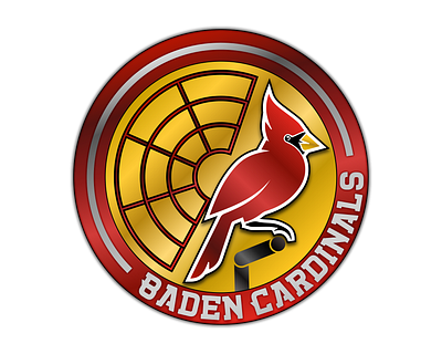 Baden Cardinals design fantasy football football illustration logo sports