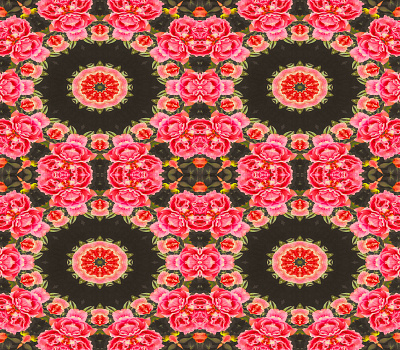 Collage Pattern Roses beauty bloomivio bouquet bright color brightness circle collage green leaves nature nature art nature photography pattern photography pink red rose vivid vivid colors wallpaper