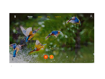 Wildlife Landing page adobe xd design dribbble landingpage photography ui web