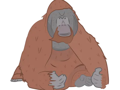 Orangutan animal ape drawing illustration orangutan vector zoo