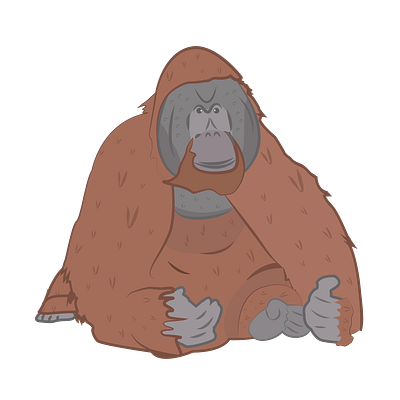 Orangutan animal ape drawing illustration orangutan vector zoo