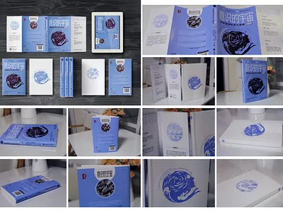 The Conscious Universe book design book design 书籍设计