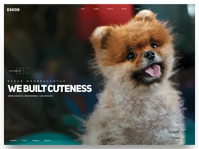 Cute modern Website landing page landing page concept landingpage modern design screendesign ui ui design uiux ux design webdesign webdesigner