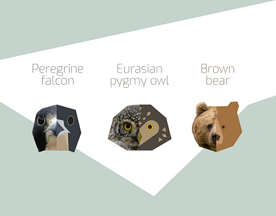 Endangered species of Poland animal bear hawk icon icon set illustration owl