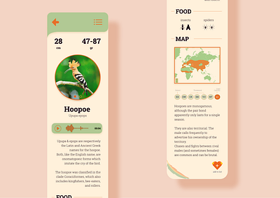 AitabÜ: let's go birding! app design illustration ui vector