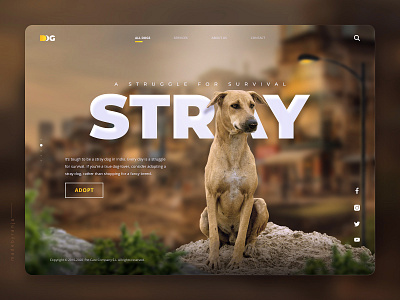 Public Campaign Design adobe photoshop animals concept design design dogs graphic design graphicinspiration interfacely madebyranju photoshop stray stray dog ui ui8net uiuxsupply ux visual design