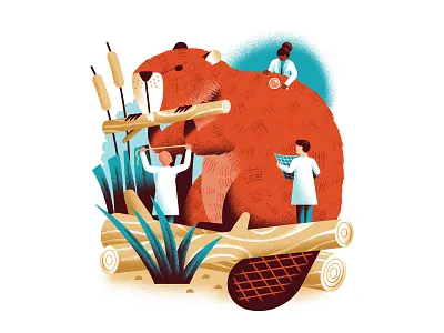 THE NATURE CONSERVANCY MAGAZINE beaver daniele simonelli dsgn editorial illustration illustration logs nature scientist scientists texture