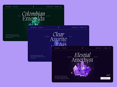 Best astrology website design