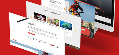 Phoenix design graphic design illustration mockup website design