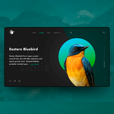Catalog of birds adobe photoshop logo ui user interface