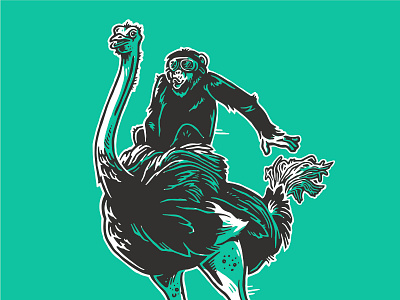 Ostrich Rider chimp hand drawn illustration monkey ostrich pen and ink personal branding racing