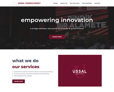 Ussal Consultancy - Web Design branding interface ux uxui uı web web design web site