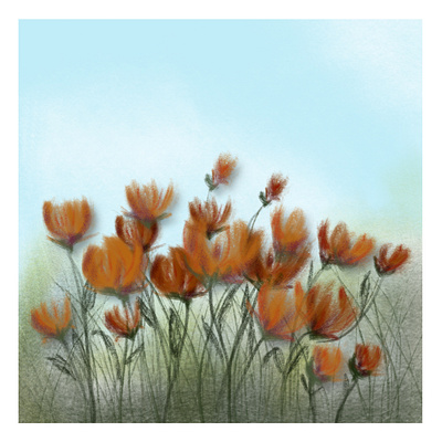 Field of Poppies adobefresco design digitalpainting graphicdesign illustration procreate