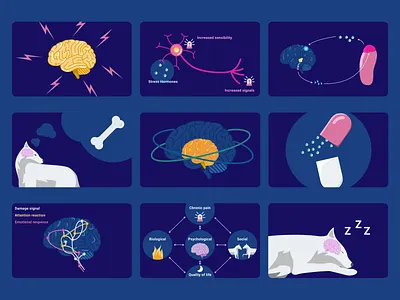 Brain & Science illustrations | Blog content blog brain illustration medical science scientific ui ui design