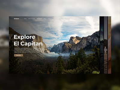 Escapes booking clean design flat minimal modern nature typography ui ui design ux web website